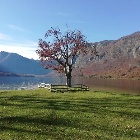 Apartment Ana Bohinj