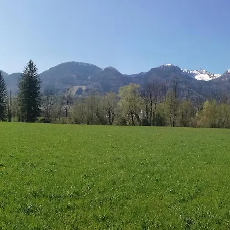 Ana Apartment Bohinj
