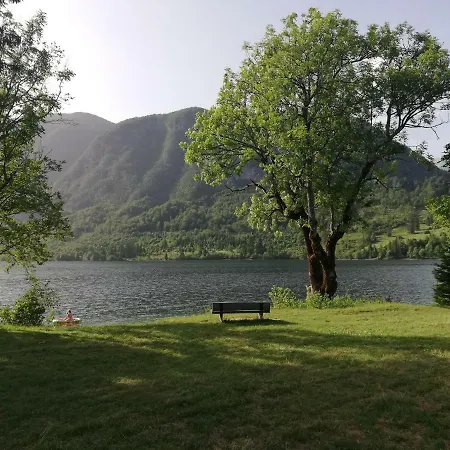 Ana Bohinj