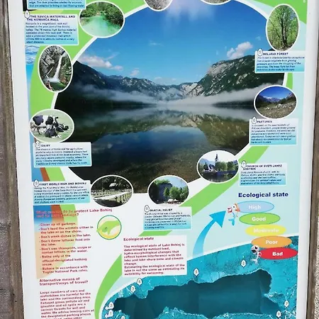 Διαμέρισμα Ana *