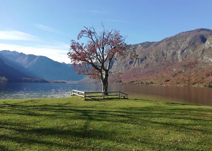 شقة Ana بوينج