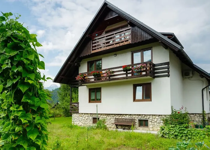 شقة Ana بوينج